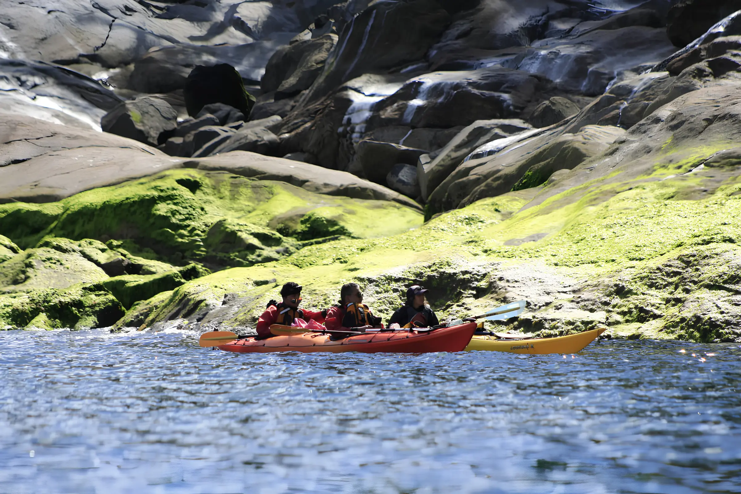 Navegación y actividad en los canales del sur de Chile