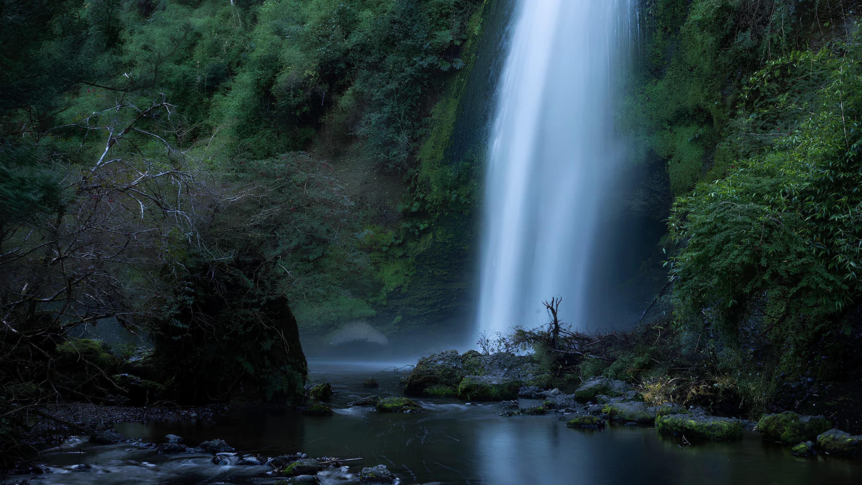Cascada entre vegetación nativa cerca de Bahía Pumalín, Los Lagos